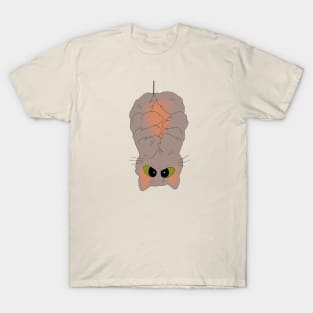 Rodger T-Shirt